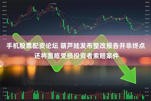 手机股票配资论坛 葫芦娃发布整改报告并非终点 还将面临受损投资者索赔案件